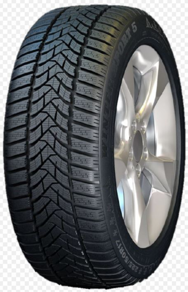 DUNLOP WINTER SPORT 5