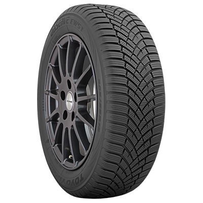 TOYO OBSERVE EWS1