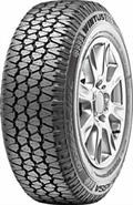 LASSA Wintus 2